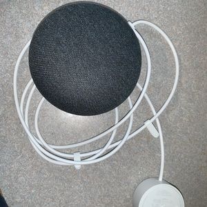 Google home mini